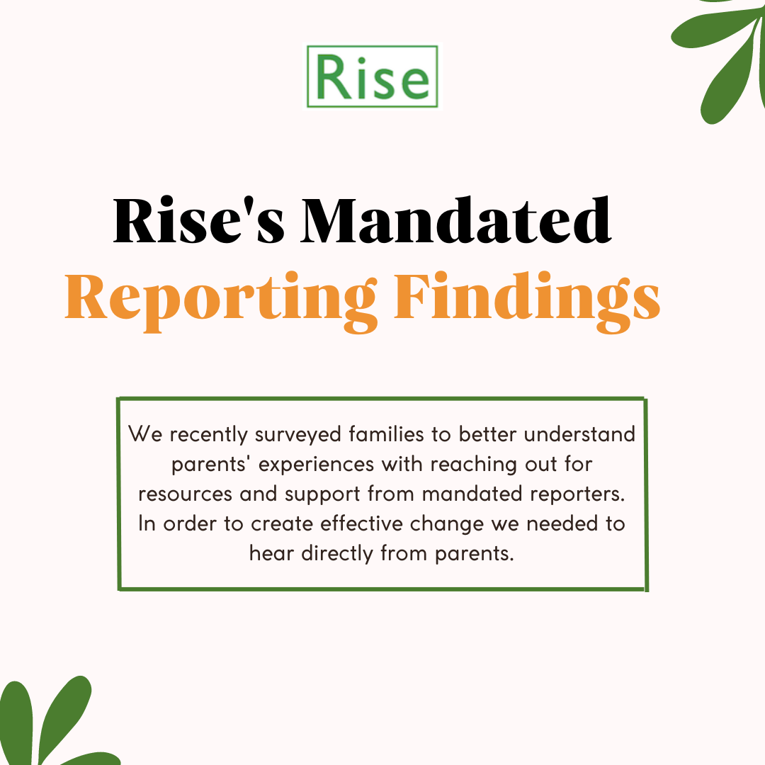 An Analysis of Rise’s Mandated Reporting Surveys & A Call to Action product image